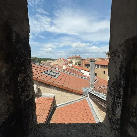 Le Cocon Aux Portes De Lyon Apartamento Neuville-sur-Saône
