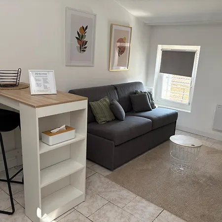 Le Cocon Aux Portes De Lyon Apartamento *