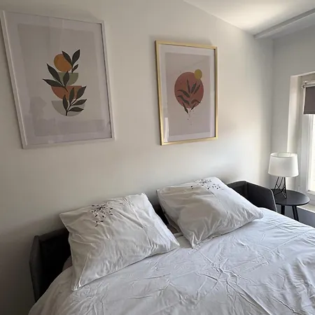 Le Cocon Aux Portes De Lyon Apartamento Neuville-sur-Saône